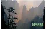 張家界國(guó)家森林公園、寶峰湖/黃龍洞、鳳凰古城、三峽八日游